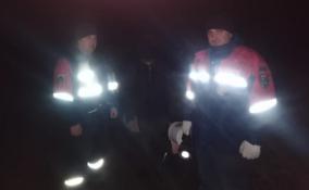 Спасатели Ленобласти вывели из леса у деревни Пиркиничи заблудившегося мужчину