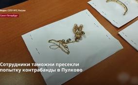 Контрабанду люксовых ювелирных украшений пресекли на Пулковской
таможне