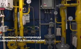 Во Всеволожском районе завершено строительство межпоселкового
газопровода