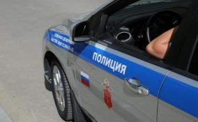 Уголовное дело завели на афериста, обманувшего пенсионерку из Ивангорода на 200 000 рублей