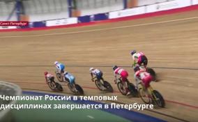 На велотреке Петербурга завершается чемпионат России в темповых
дисциплинах