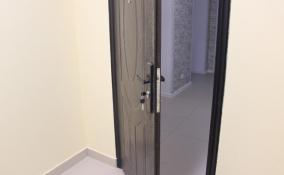 В Ленобласти с начала года 769 семей улучшили свои жилищные условия благодаря поддержке региона