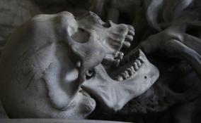 Человеческий череп в пакете нашли во дворе храма в Лесколово