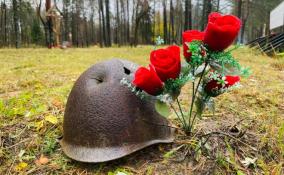 Останки 14-ти красноармейцев перезахоронили во Всеволожском районе