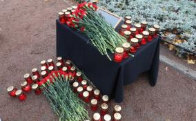 Стихийный мемориал в память о погибших в Ейске появился в Северной столице