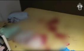 Следователи показали видео из квартиры в Кудрово, где мужчина ударил 9-летнего сына ножом в шею