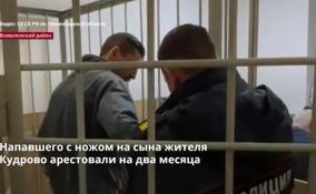 Напавшего с ножом на сына жителя Кудрово арестовали на 2
месяца