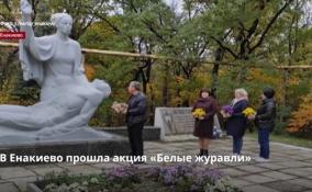 Жители Енакиево присоединились к международному Дню памяти
«Белые журавли»