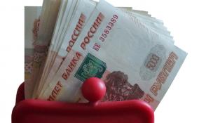 Полиция Гатчинского района разыскивает мошенника, обманувшего пенсионерку почти на 1 000 000 рублей