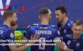 ЛенТВ24 покажет волейбольный матч
«Динамо-ЛО» – «Динамо» (Москва)