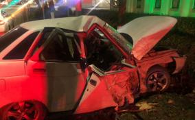 Водитель на ВАЗ врезался в дерево в Кингисеппе, погиб несовершеннолетний пассажир