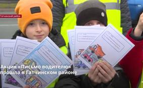В Ленобласти с 19 по 27 октября проходит акция «Письмо водителю»