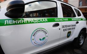 С начала 2022 года в Ленобласти ликвидировали 392 нелегальные свалки