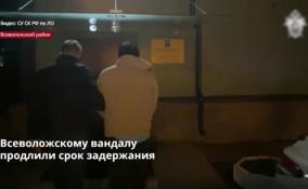 Подозреваемый в осквернении «Разорванного кольца» ожидает
избрания меры пресечения