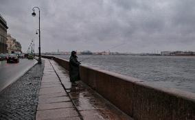 К концу недели в Петербурге ожидается похолодание и сильный ветер