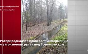 Росприроднадзор изучает информацию о загрязнении ручья в Токсово