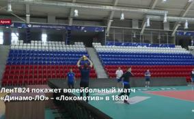 ЛенТВ24 покажет волейбольный матч
«Динамо-ЛО» – «Локомотив» в 18:00