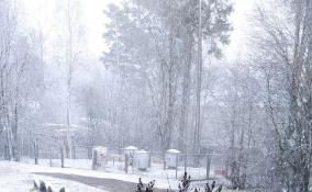 В Тихвине выпал первый снег