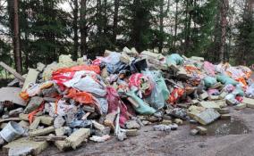 В лесу Новой Ладоги обнаружили незаконную свалку строительного мусора