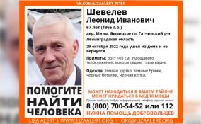 В Гатчинском районе четвёртый день ищут 67-летнего Леонида Шевелева