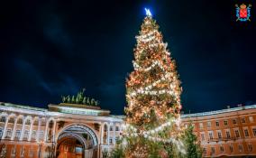 Дворцовую площадь вновь украсит елка из Ленинградской области