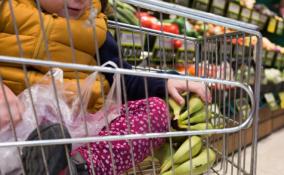 Базовая продуктовая корзина в Петербурге оказалась самой дорогой в России