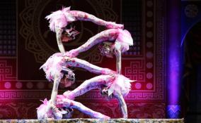 Северная столица принимает международный цирковой фестиваль «Без границ»