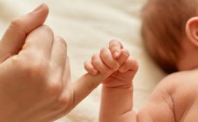Названы самые популярные имена младенцев в Ленобласти