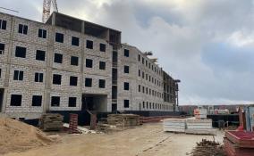 Строящуюся поликлинику в Новоселье заводят под крышу