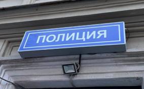 В Ломоносовском районе дебошир с двумя судимостями разгромил дом своего знакомого