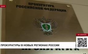 Четыре новые региональные прокуратуры появятся в ДНР, ЛНР, Запорожской и Херсонской областях