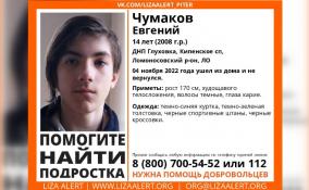 В Ломоносовском районе пятый день ищут пропавшего 14-летнего Евгения Чумакова