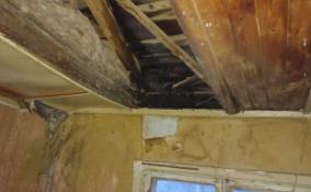 Потолок обрушился в жилом доме в поселке Гаврилово в Ленобласти