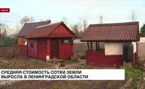 Сотка земли в Ленинградской области подорожала на 19%