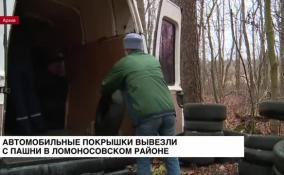 Автомобильные покрышки вывезли с пашни в Ломоносовском районе