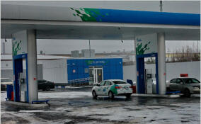 Стоимость бензина АИ-98 в Ленобласти выросла на 4,5%