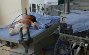 За неделю в Ленобласти на свет появилось более 230 новорожденных