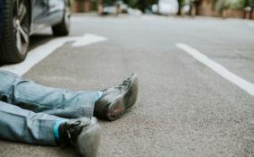 В поселке Шапки водитель на Toyota задавил сидевшего на дороге пешехода