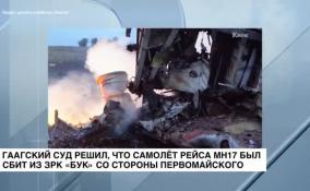 Гаагский суд решил, что самолёт рейса MH17 был сбит из ЗРК «Бук» со стороны Первомайского