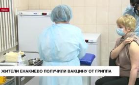 Жители Енакиево получили вакцину от гриппа