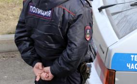 Труп женщины нашли в коллекторе на стройплощадке в Ломоносовском районе