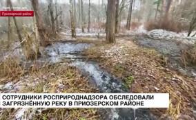 Сотрудники Росприроднадзора обследовали загрязнённую реку в Приозерском районе