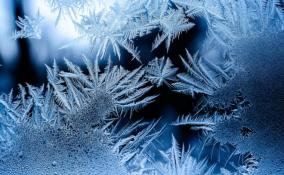 Морозно и без осадков: синоптики рассказали о погоде в Ленобласти 24 ноября