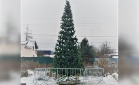 У стадиона в Янино-1 установили новогоднюю елку