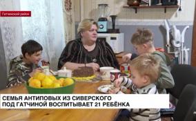 Семья Антиповых из Сиверского под Гатчиной воспитывает 21 ребенка