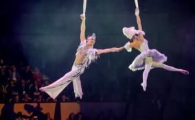 Цирк Чинизелли устраивает бесплатное представление для семей мобилизованных