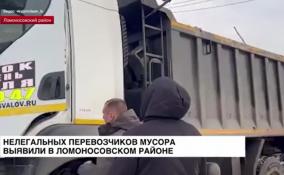 Нелегальных перевозчиков мусора выявили в Ломоносовском районе