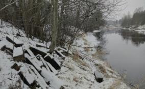 Брошенные шпалы вывезли с берега реки Оредеж в Вырице