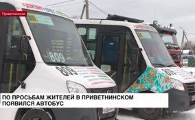 По просьбам жителей в Приветнинском появился автобус