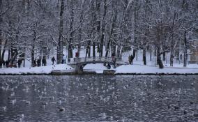 Облачная погода и небольшой снег ожидает жителей Ленобласти 30 ноября